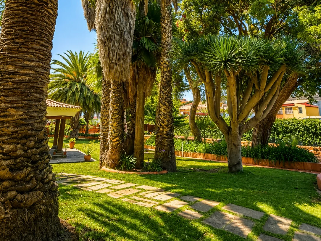 Exterior y naturaleza
